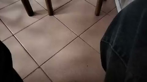 Jestem w dobrowce na objedze S01E590