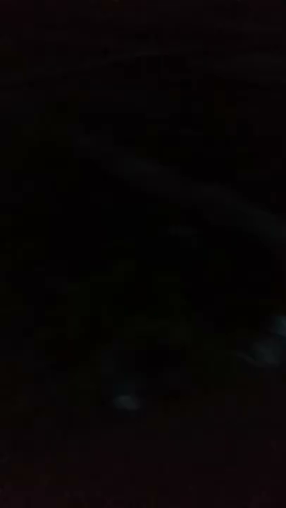 Akcja ratowników S01E220