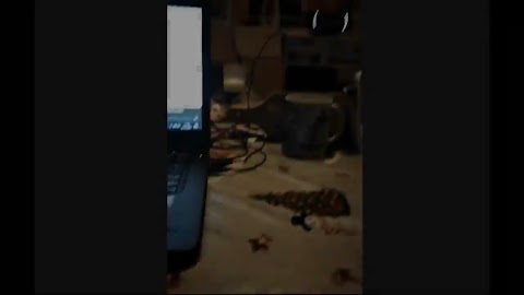 Zmiany porządkowe na przestrzeni lat na szkolnej