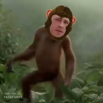 Pato po wy.... Majora z auta 😁 S01E647