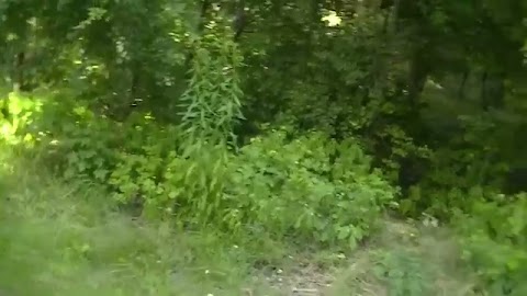 Krzysiek na poszukiwaniach 24.07.2020 S01E308