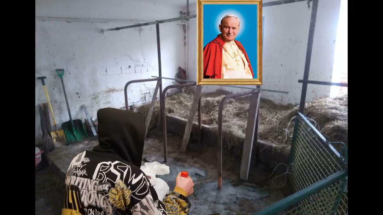 Co działo się w chlewiku S01E373