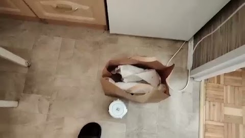 Załatwiłem sprawy kupiłem zakupy i jestem w domu S01E967