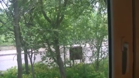 Pica zrana jak śżmietana S01E565