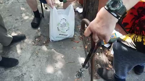 Nitro ogórki S01E511