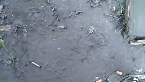 Krzysiek i jego tematy S01E180