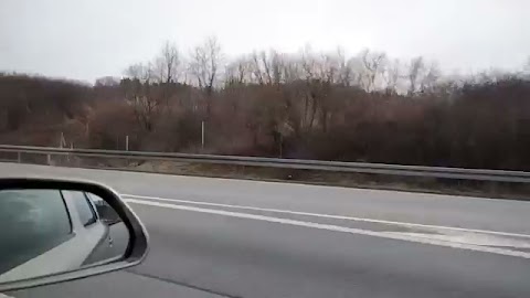 To jest moja podróż do Polski S01E133