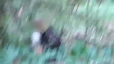 Las wiewiórki i księgowa S01E239