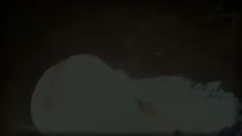 Obsmarkał się na grylu, a Ksiekowi ciachną uszko