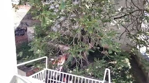 Pogoda unas taka S01E193