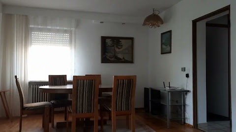 Biegł za Passatem 30km S01E439