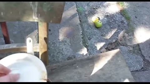 To się musi tuszyć - Spaghetti Majora (spagety)