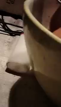 Kolacja moja S01E1928