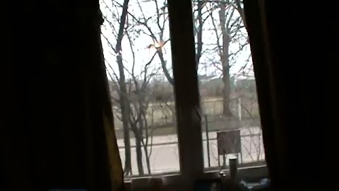 Krutki wilm dlawas nagrałem S01E1055