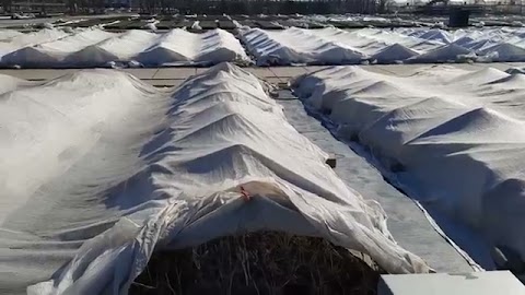 Mój dzień w pracy S01E448