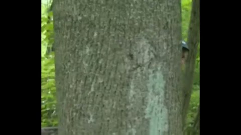 Wątek stomatologiczny na szkolnej