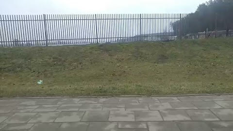 Zaproszenie na urodziny S01E147