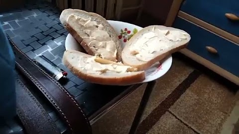 Kanapki moje serkiem pcha S01E456