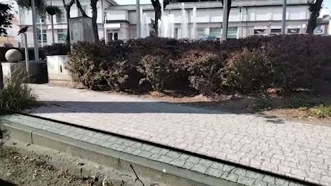 Pokazuje te Mijsto S01E245