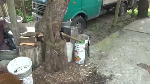 Robje drzewo S01E576