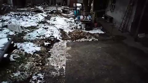 Wszedłem nadwor pokarze wam jak mam wchodzicie z domu S01E1563