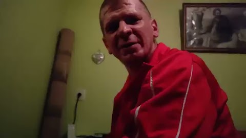 cała prawda o kotach S01E1917