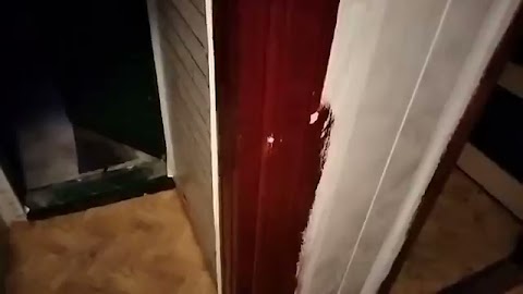 Jutro lajta zrobje przepraszam was S01E769