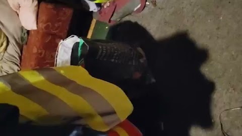 POWJEM WAM TO S01E291