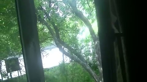 ZASZCZEPIŁEM SIE S01E447