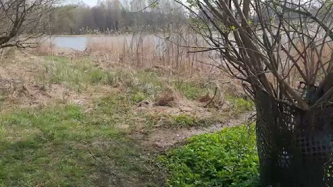 Okuratne miejsce dla Majora S01E488