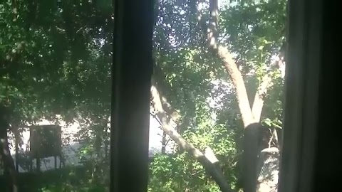 TO JEST BARDZO PSZNE SPRUBUJ SAM S01E158