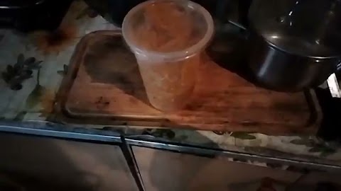 Bigos grzeje siniedanie moje takie S01E958