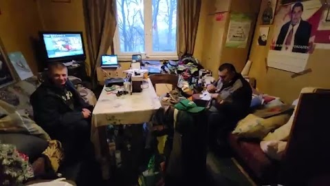 świonteczna cerata S01E1254