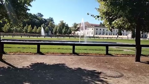 Pokazuje piękny Bjalystok S01E1699