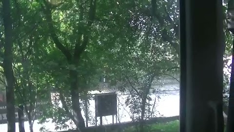 Dzedbry wjdzom S01E664