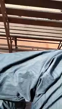 pokazuje wam S01E241