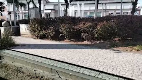 Nagrwam wam ro S01E246