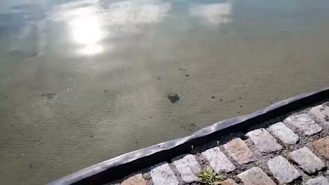 Pokarze wam to S01E1194