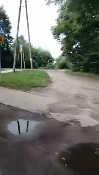 Pokazuje wam S01E230