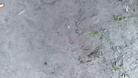 Zawiadomienie S01E179