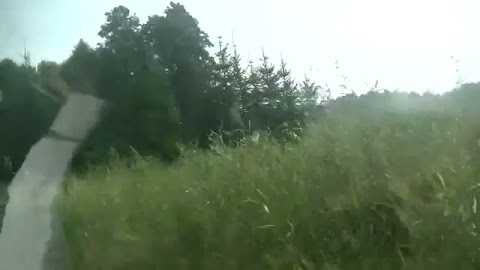 obejrzj ten wilm S01E272