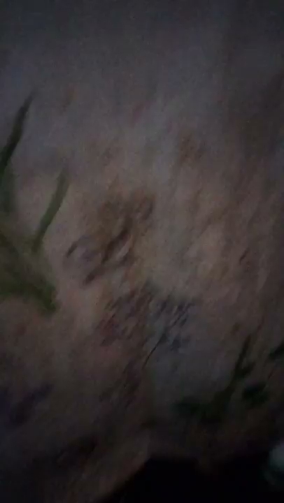 Rbke będę radl grecka psznq S01E805