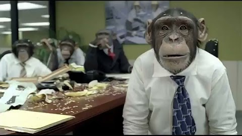 Do Majora zwanego lalusiem S01E361