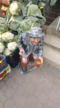 Zobaczę to chorera jasna S01E1877