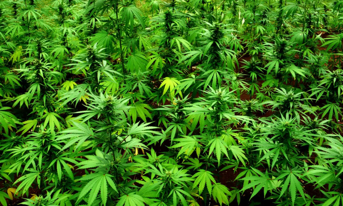 24 marca 2021 godzina 10_30 S01E456