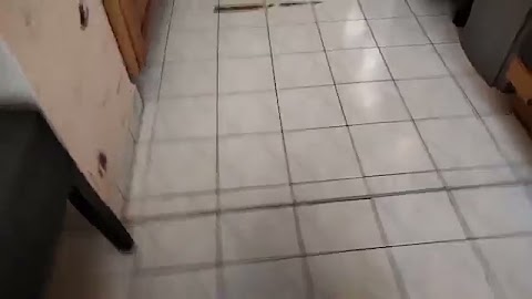 Przepraszam Natalke za te słowo wybacz mi S01E1341