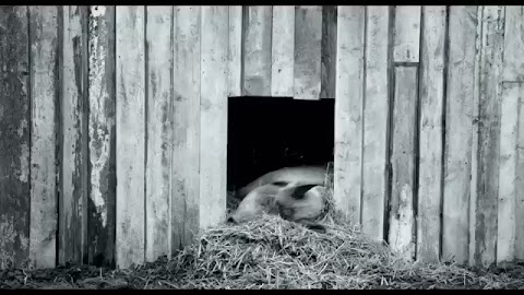 Dzieciństwo w Wilkowie. Wspomnienia rodzinne. S01E585