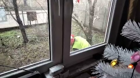 Pokazuje zmjabe trochę tu S01E1245