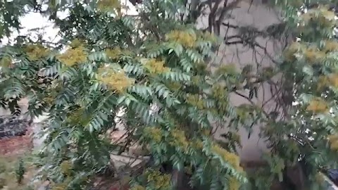 Dzisiaj pierwszy dzedobty S01E1115